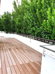 Oei Tiong Ham Park Residences (D10), Apartment #574680781
